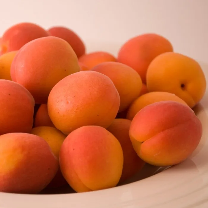 Fresh Apricots for sale fresh from farm