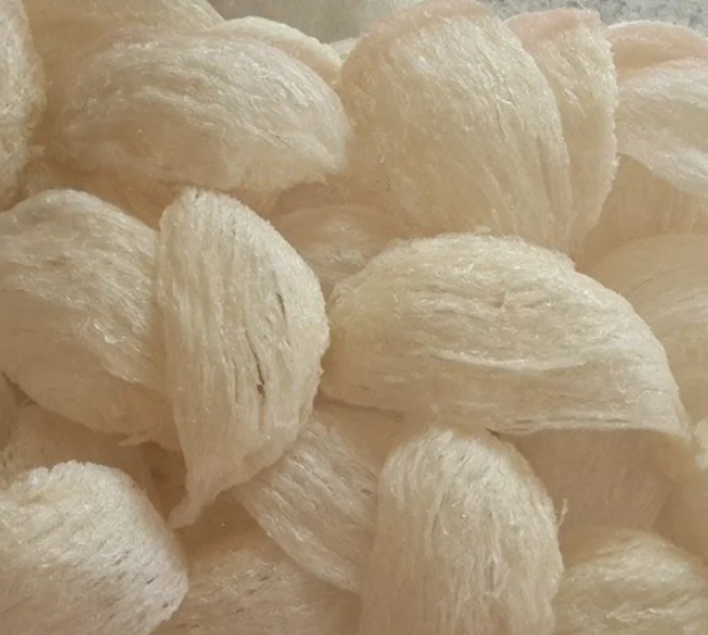 
Edible Birds Nest Box Natural Premium Quality from Thailand 