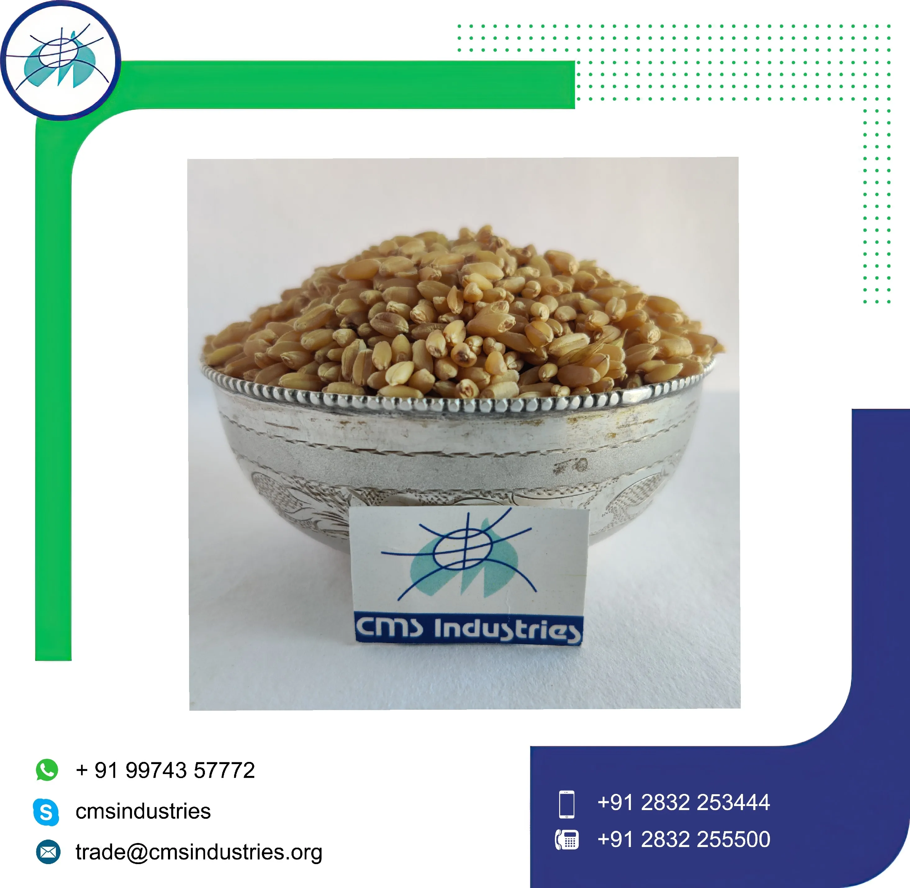 Натуральный экстракт пшеницы Sharbati