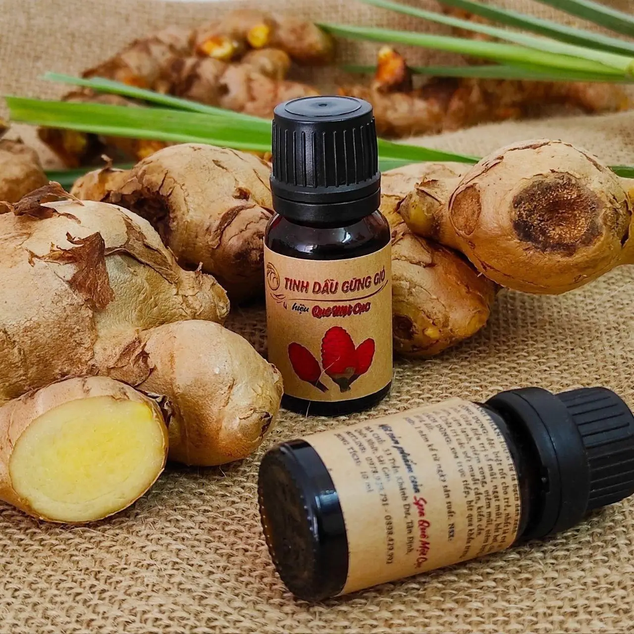 
Natural OEM Organic Aromatherapy Massage Body Fragrance Essential Oil from Vietnam 