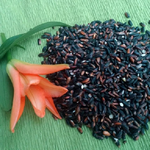 
ORGANIC LONG GRAIN BLACK RICE FROM VIETNAM WITH GOOD PRICE AND HIGH QUALITY 