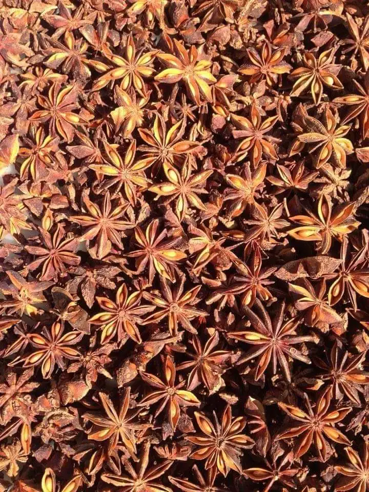 dry STAR ANISE good quality for sale call +84984418844 whatsapp