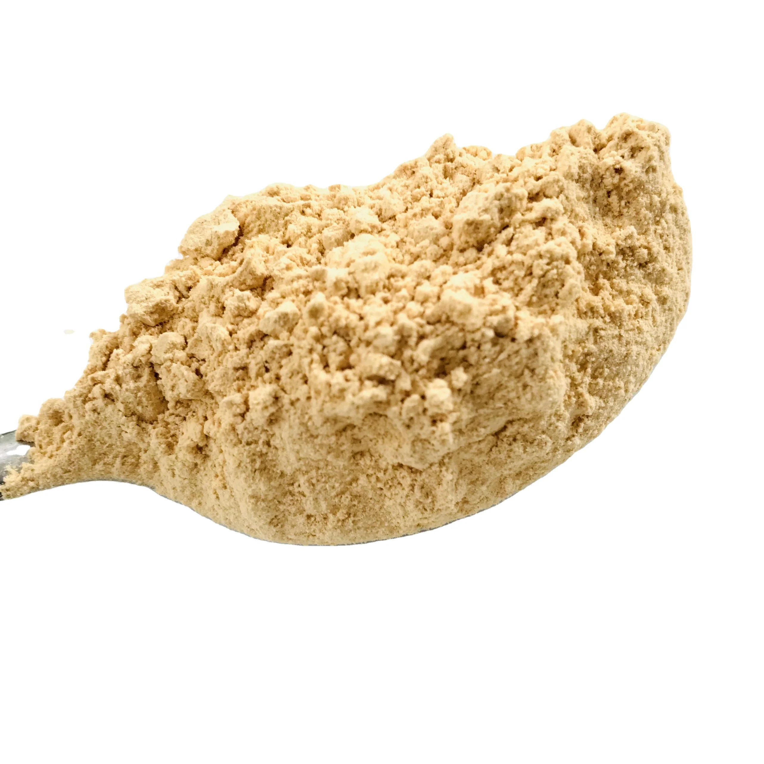 
Cordyceps Militaris Powder Healthy Product 100% Natural Herbal High Quality Product Good For Health Providing Energy OEM 