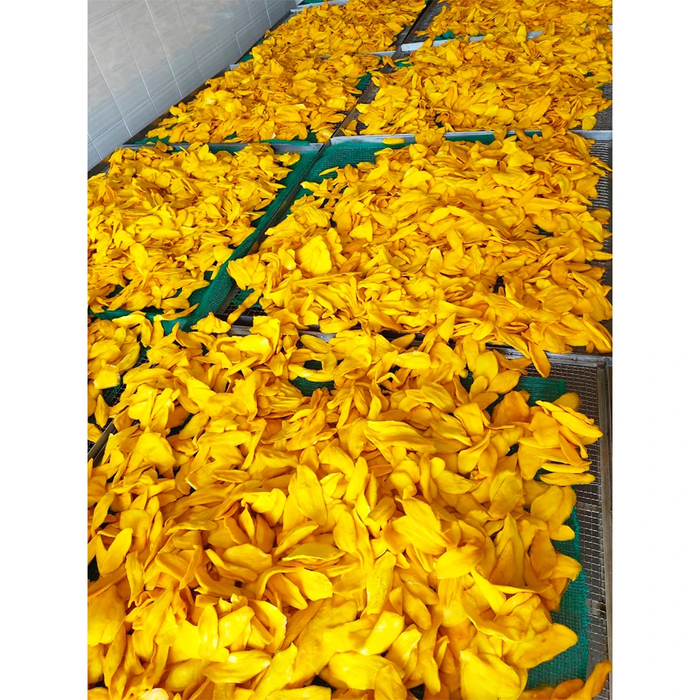 Hot Sale High Quality Sweet Preserved Dried Mango from VIETNAM