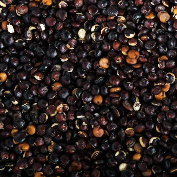 
organic black quinoa seeds from PERU leading exporter 