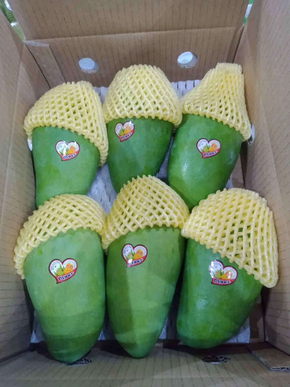200-1100g/fruit High Quality Carton Box Packaging Green Color Common Cultivation Type Sweet Taste Mango Export From Vietnam