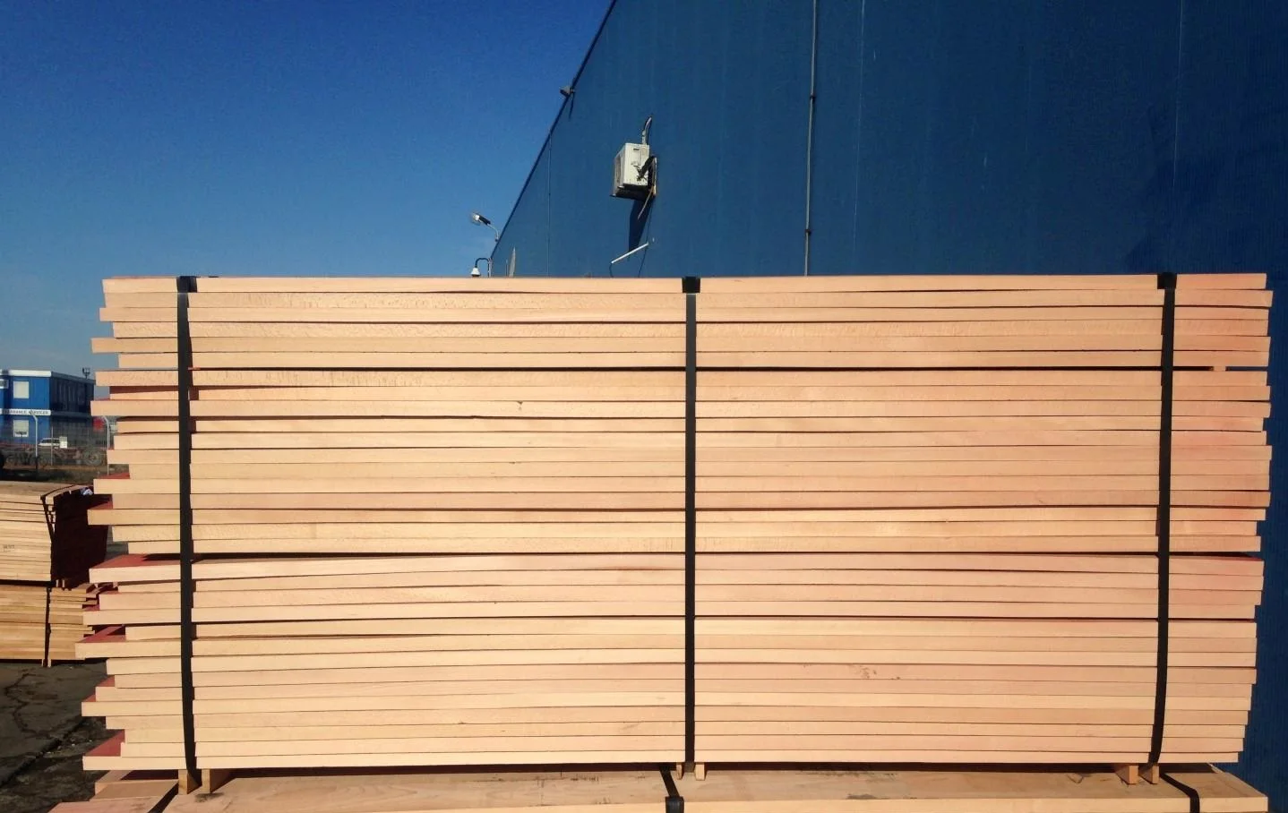 European Beech Log and Lumbers for sale