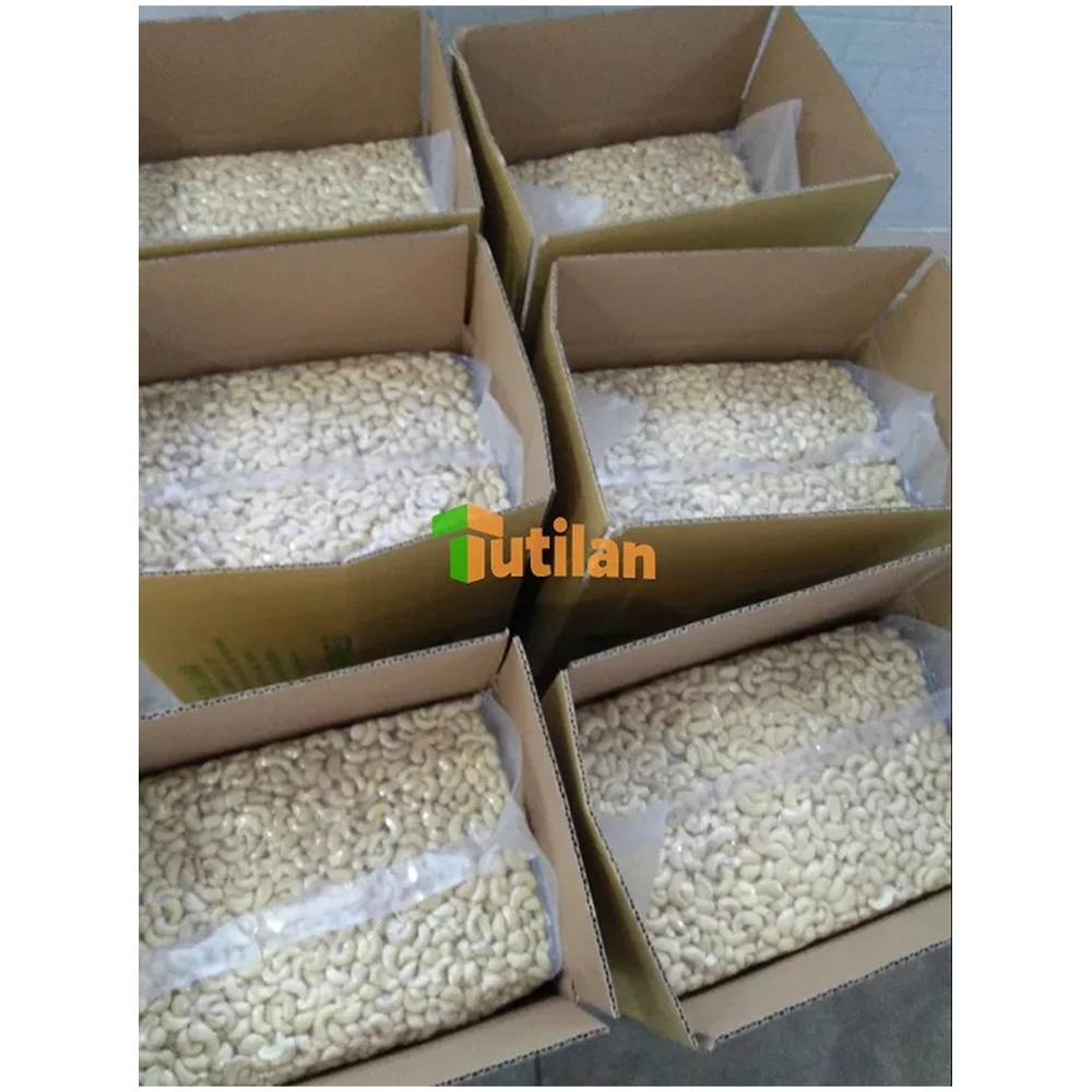 Supplier broken cashew nut at a reasonable price for sale from Vietnam