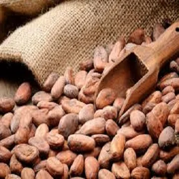 
Dried Cocoa Beans 