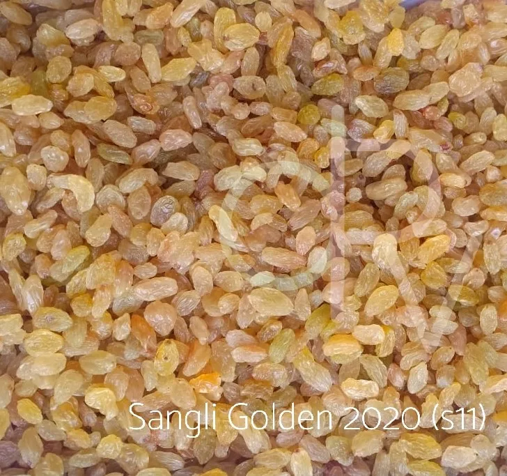 
Golden dried raisins indian origin raisins golden best quality raisins for export 