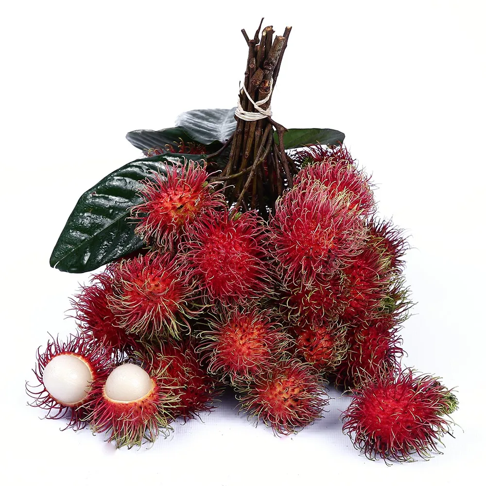 Best seller Fresh Rambutan Premium grade from Thailand by SP Organic International