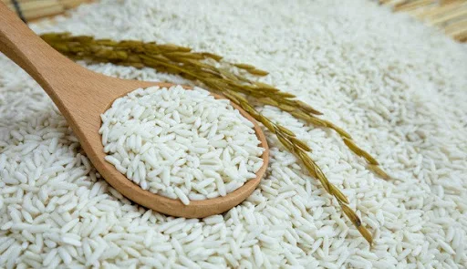 [Горячая цена] Белый липкий клейкий рис вьетнамский белый 5% сломанный (компания Thai Lien мисс Фуонг: + 84789196389)