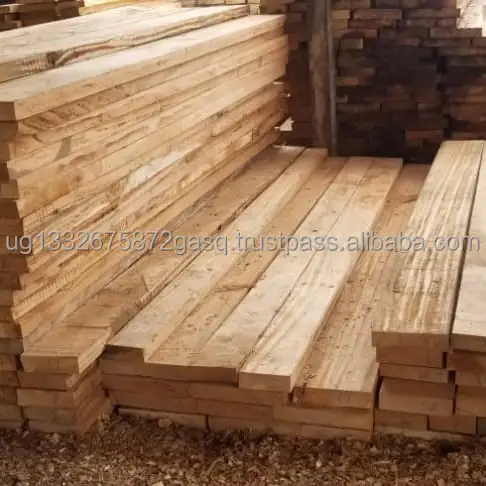 Premium 1/3 Hardwood Pine Logs and Lumber High Quality Sawn Timber Flooring Decking Plywood Materials