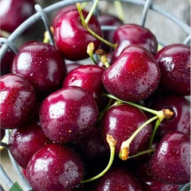 Высококачественные сладкие красные вишневые фрукты из Турции оптовая цена на экспорт свежих фруктов свежие премиум класса