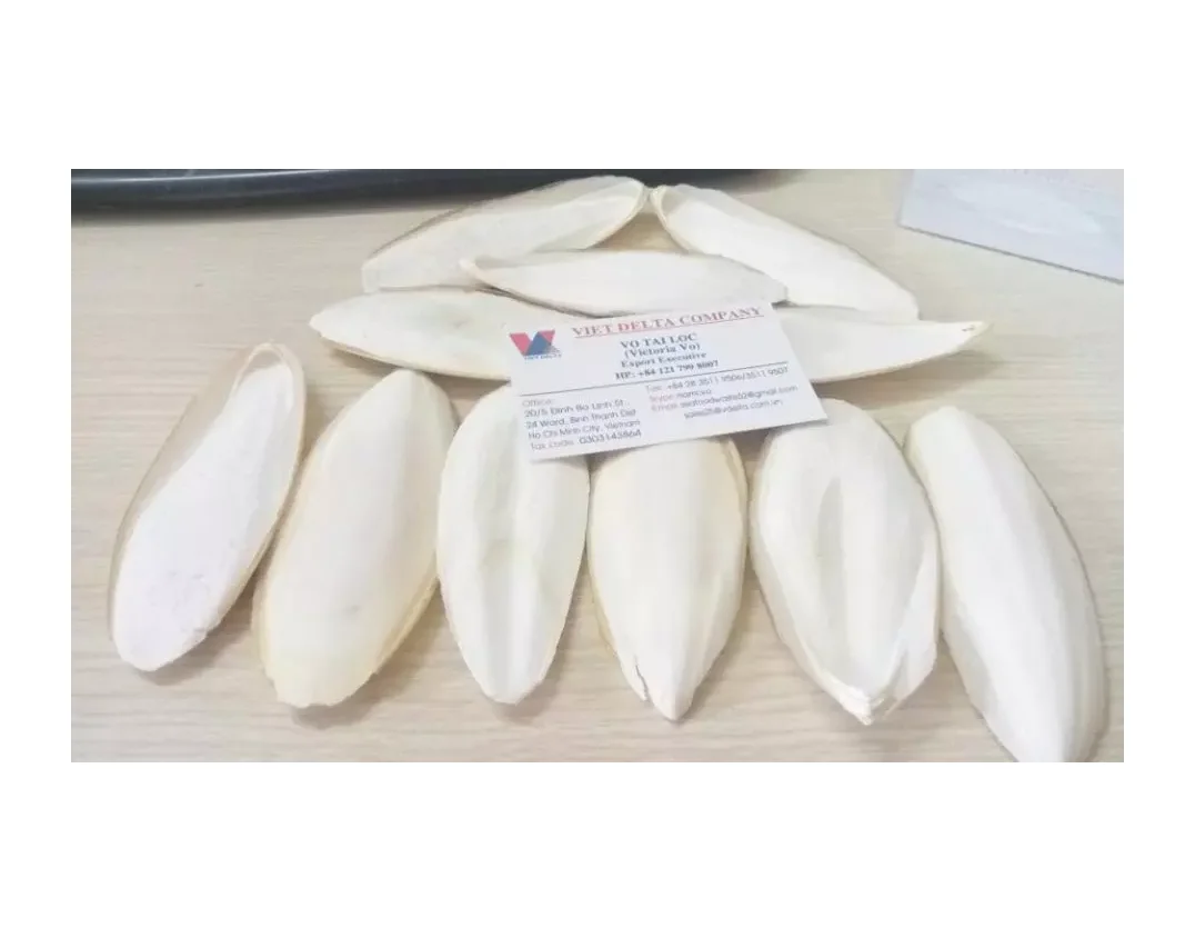
UNTRIMMED CUTTLEBONE BEST PRICE OFFER FROM VIETNAM Whatsapp +84 396986490 (Annie) 