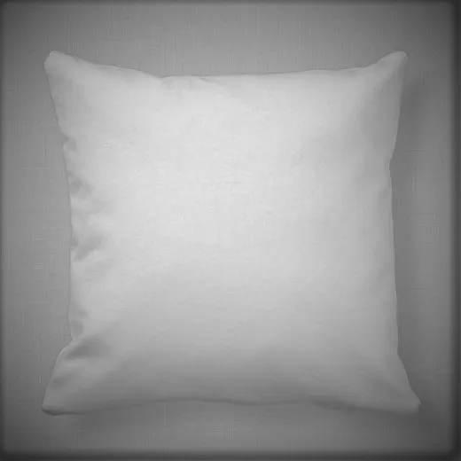 Backrest Cushion 20X20 Poly Filler Inside for Sofa Home Hotel Hospital Ready to Ship Ready Made Wholesale