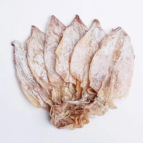 COMPETITIVE PRICE DRIED SQUID WING/ DRIED LOLIGO SQUID form