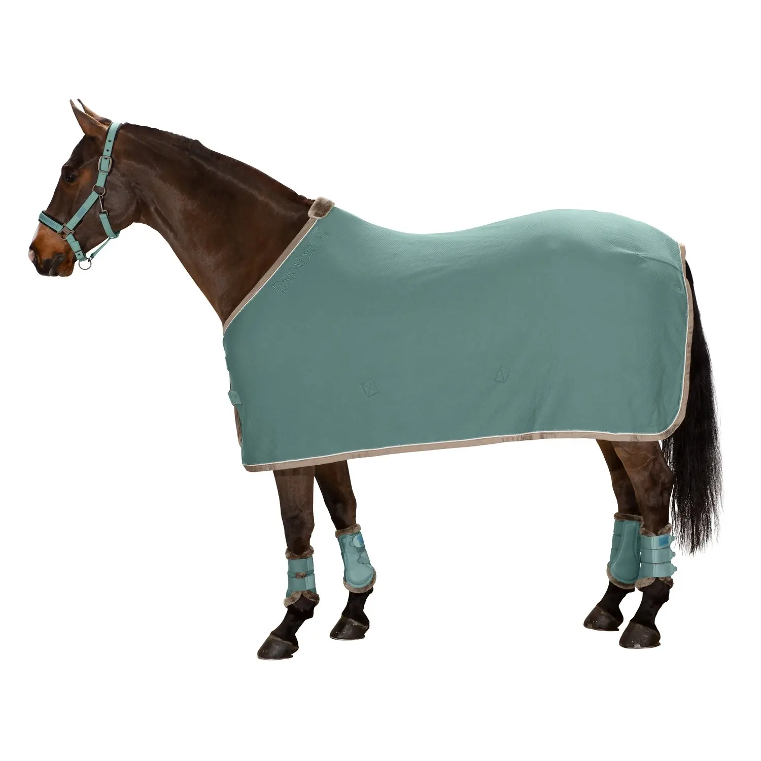 Horse Equipment cotton winter Equine Products Equestrian Waterproof horse Rugs Cover blanket by canleo international