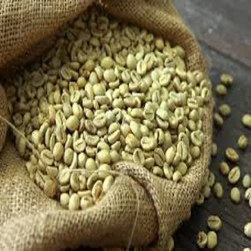 
Green coffee bean Robusta price raw coffee 