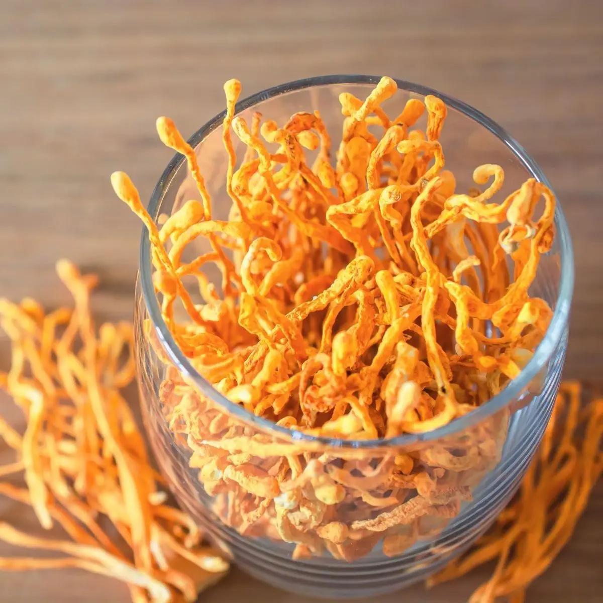 Cordyceps Militaris Healthy Product 100% Natural High Quality Product