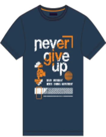 Мужские футболки RFL