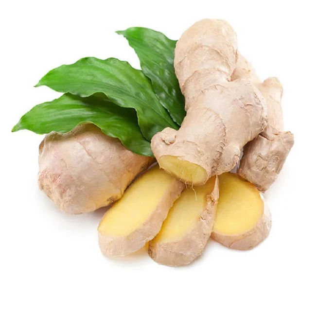 Новинка 100% вьетнамский свежий имбирь от профессионального производителя оптовая цена бесплатный налог