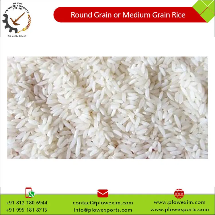 Round Grain or Medium Grain Raw Rice 5% Broken Round Rice Bulk Supply