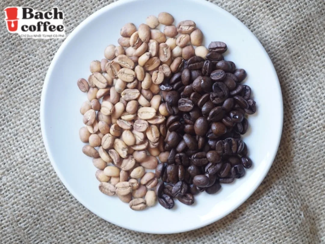 Highest Caffeine  White Coffee / 4x Standard Caffeine/ Organic Pure Roasted Arabica Coffee Beans