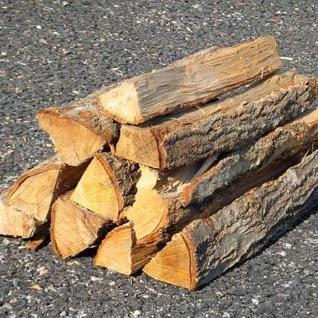 
 Дерево акации  