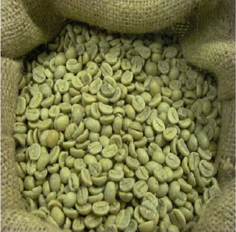 
Premium Unroasted Arabica Coffee from Son La Viet Nam 