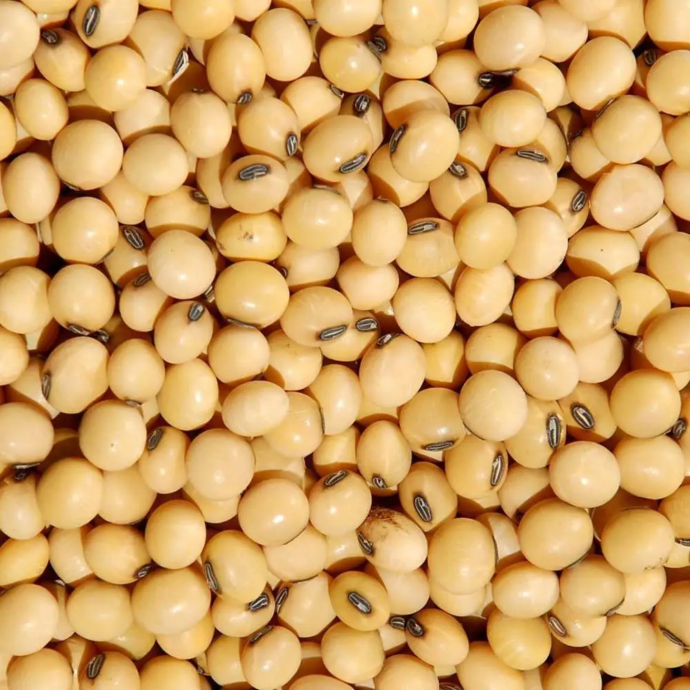 Соевая мука/соевая мука корм для животных