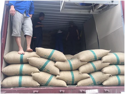 ROBUSTA COFFEE BEANS