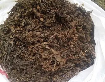 Сушеные водоросли саргассум и порошковые из Вьетнама свяжитесь с MS KATHY + 84 896650714