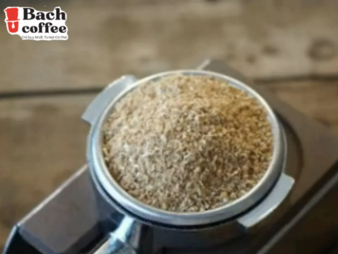 Highest Caffeine  White Coffee / 4x Standard Caffeine/ Organic Pure Roasted Arabica Coffee Beans