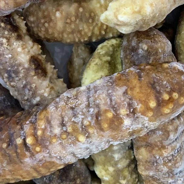 Best Quality Price Black Teat Dried And Frozen Natural Sea Cucumber For Export Gamat Natural Health Benefit Seafood