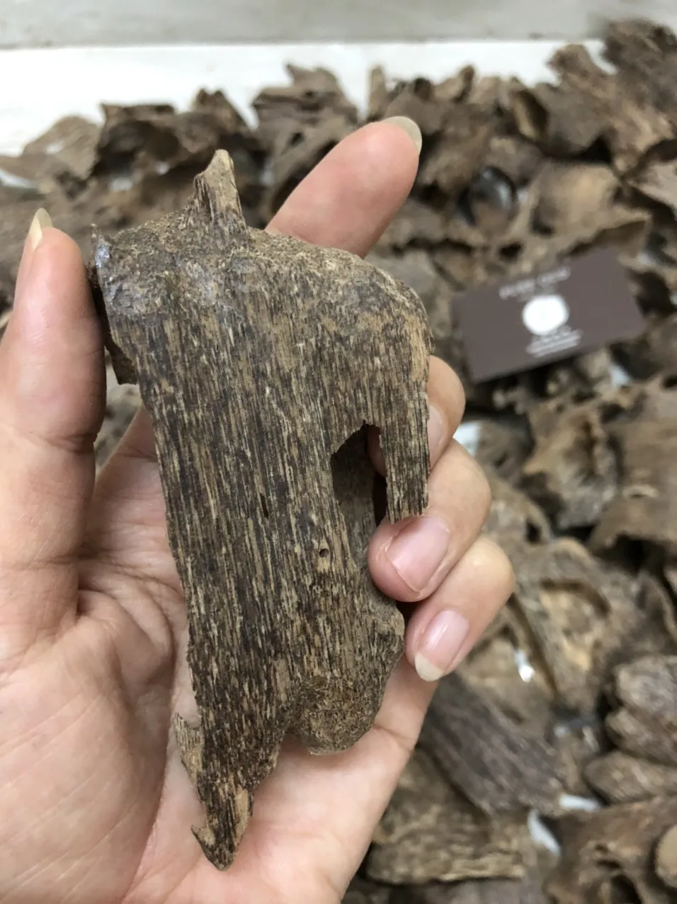 Top Quality Incense Burner Full Oil Natural Wild Incense Oud Vietnam for daily use