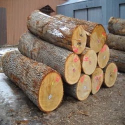 Teak Wood - Round Logs- Swan Timber Logs for sale .