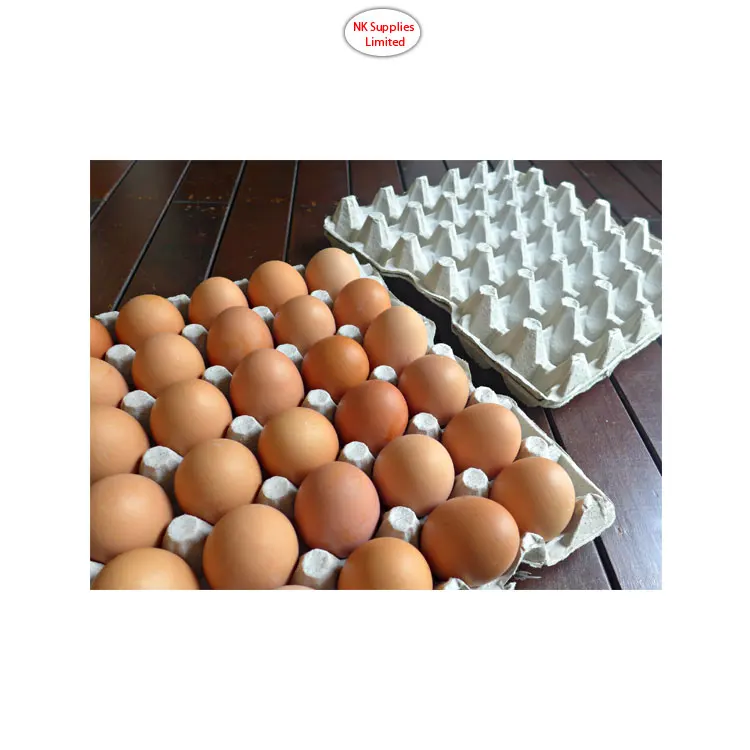 
Exclusive Deal on Longer Shelf Life Farm Fresh Chicken Eggs for Bulk Buyers 
