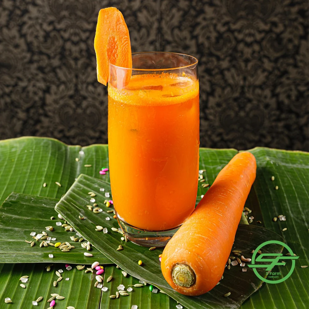 New crop fresh organic vegetables wholesale fresh carrots bulk export price