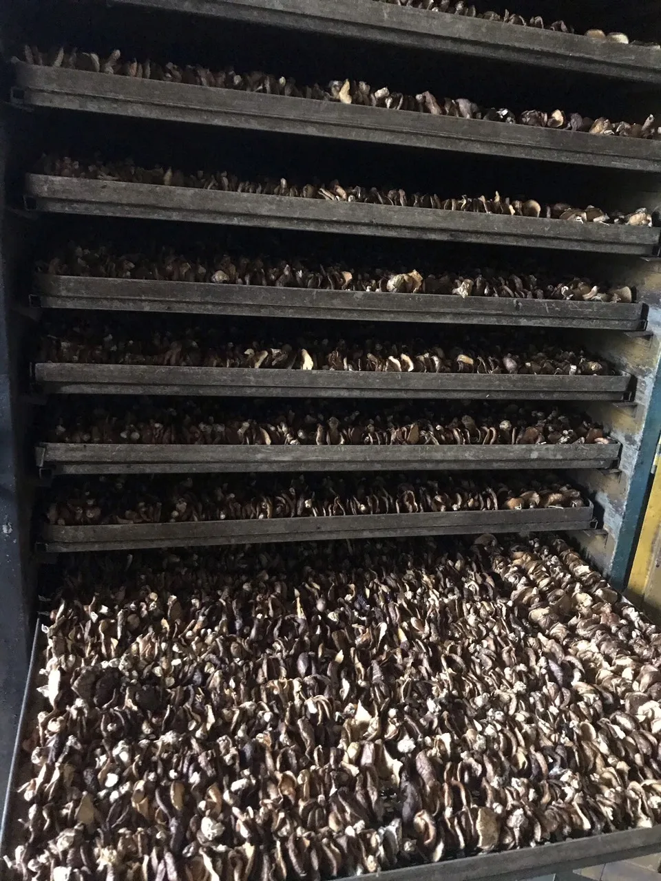 Wholesale Price New Crop Hot Sale Vietnamese Shitake Mushroom  High Quality Dried Shitake Mushroom Organic Dried Food 2021