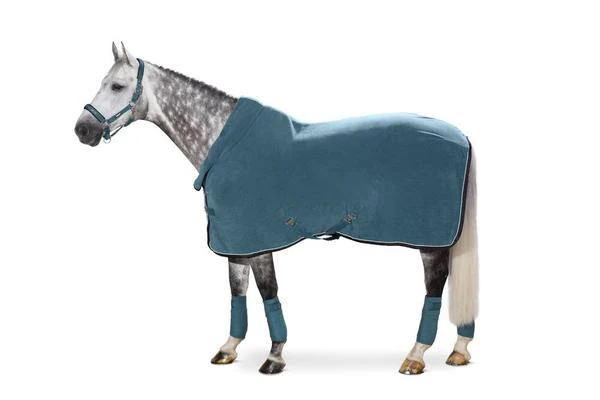 Horse Equipment cotton winter Equine Products Equestrian Waterproof horse Rugs Cover blanket by canleo international