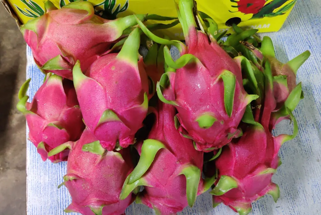 White Dragon Fruit from Vietnam/ Best price in the market