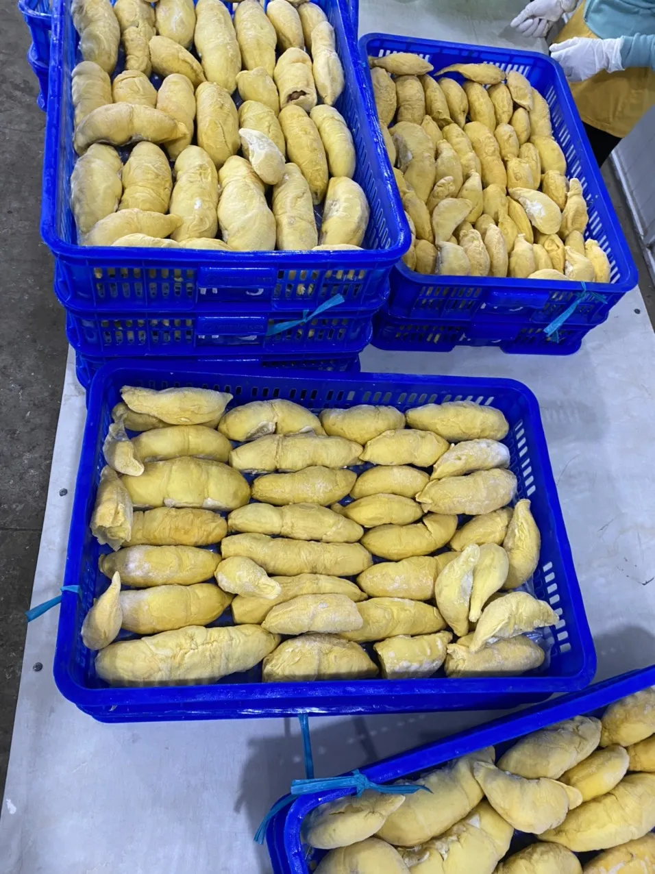 Frozen Durian Pulp With Seed, Seedless Durian Meat, Durian Ri6 Monthong Creamy Taste