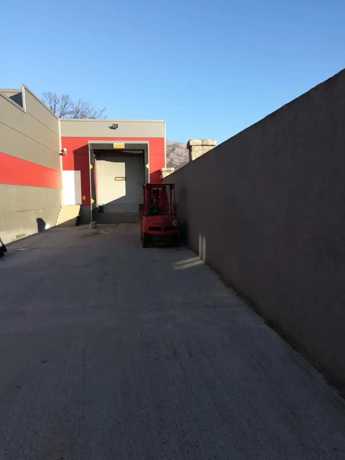 FRESH FROZEN BEEF TESTICLE HIGH QUALITY FRESH PROCESSING FROZEN BEEF TESTICLE ORIGIN MONTENEGRO