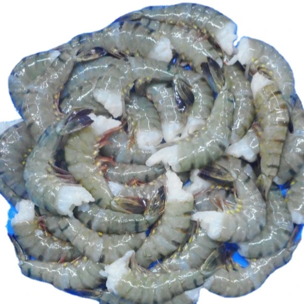 TIGER SHRIMPS BEST PRODUCT EXPORT INDIA