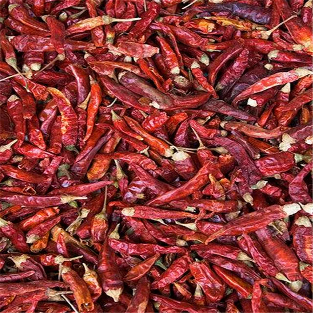 Dried Chilli Pepper  High Quality Chinese Dried Chilli Pepper Black Pepper