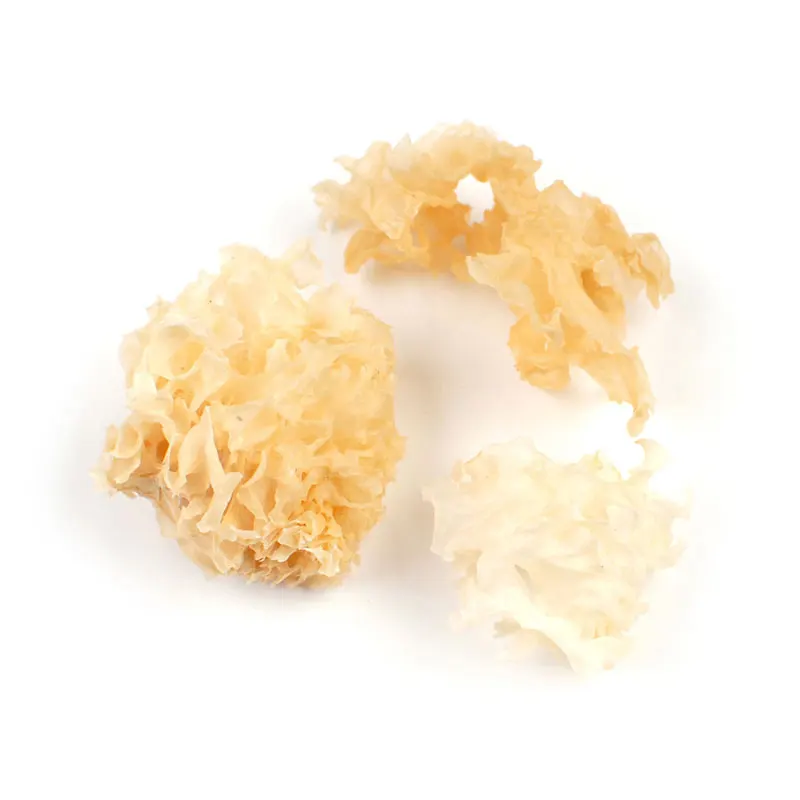 
Cauliflower Mushroom 1 lb bag / box each 