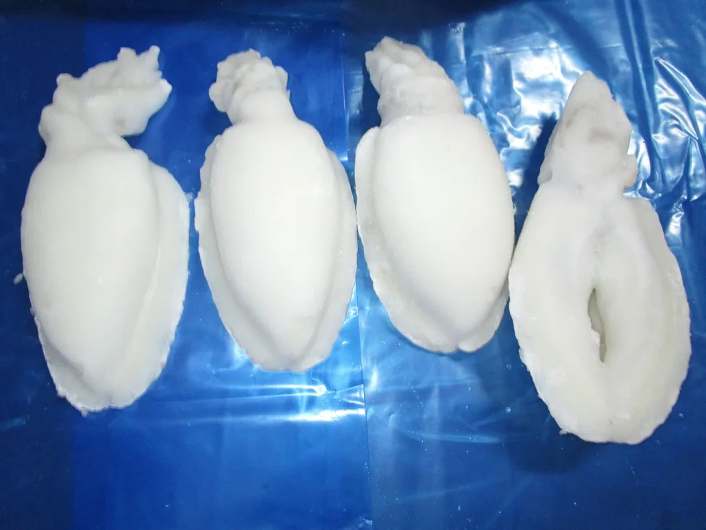 Frozen Individual quick frozen Cuttlefish whole cleaned from India