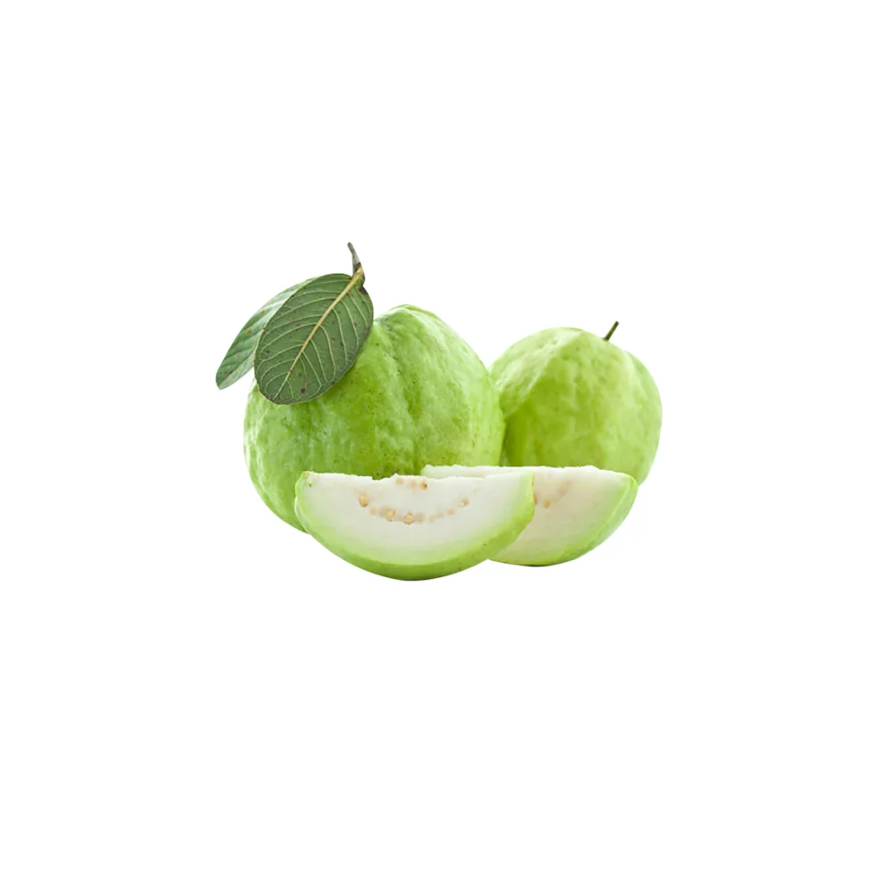 
Premium Guava of Vietnam with the best quality and the cheapest price 