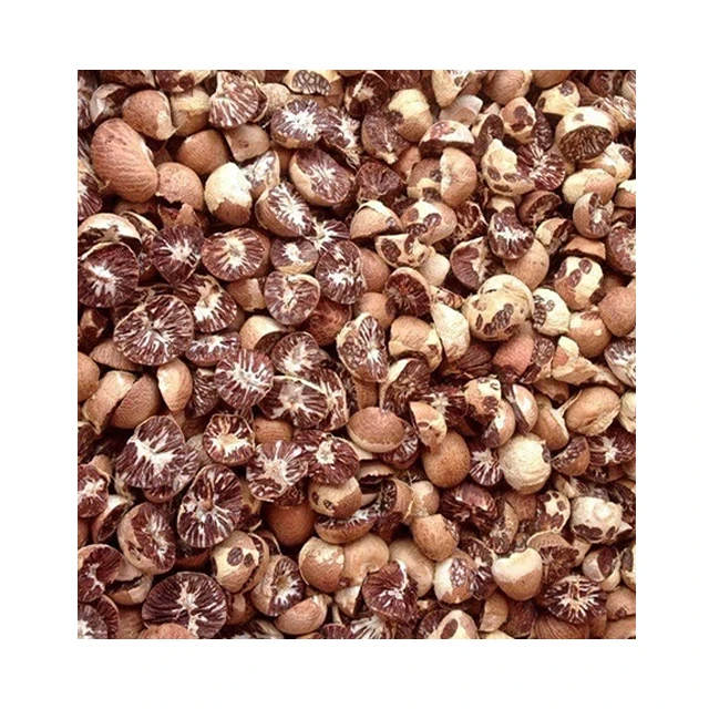 Сушеные цельные орехи BETEL/орехи ARECA из Вьетнама, низкая цена (Kaylin + 84 817092069), 99 золотых данных